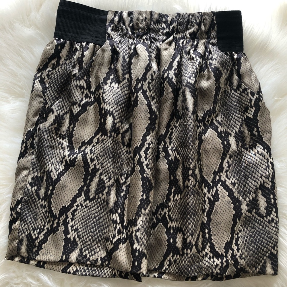 Zara snake print skirt